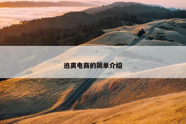 逃离电商的简单介绍