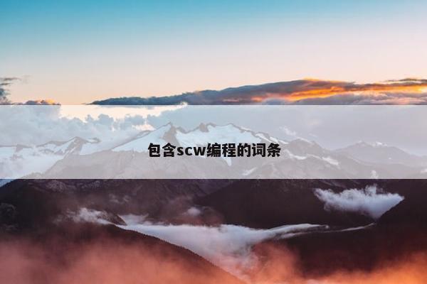 包含scw编程的词条