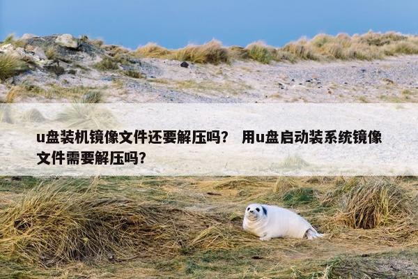 u盘装机镜像文件还要解压吗？ 用u盘启动装系统镜像文件需要解压吗？