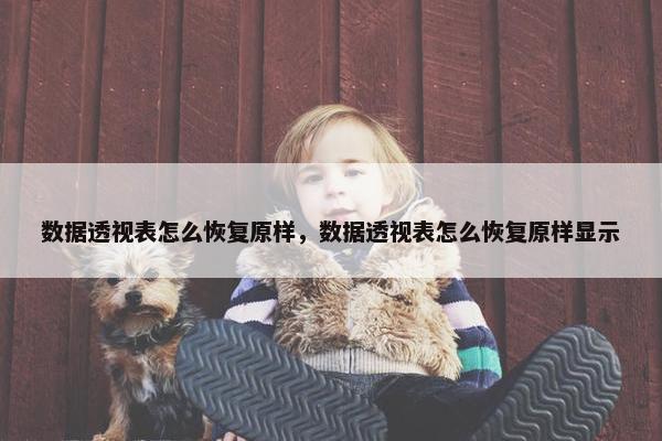 数据透视表怎么恢复原样，数据透视表怎么恢复原样显示