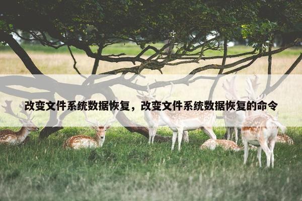 改变文件系统数据恢复，改变文件系统数据恢复的命令