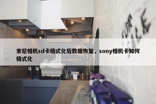 索尼相机sd卡格式化后数据恢复，sony相机卡如何格式化