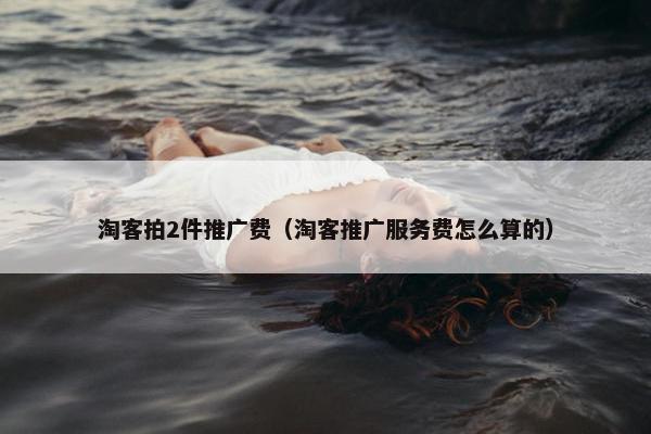 淘客拍2件推广费（淘客推广服务费怎么算的）