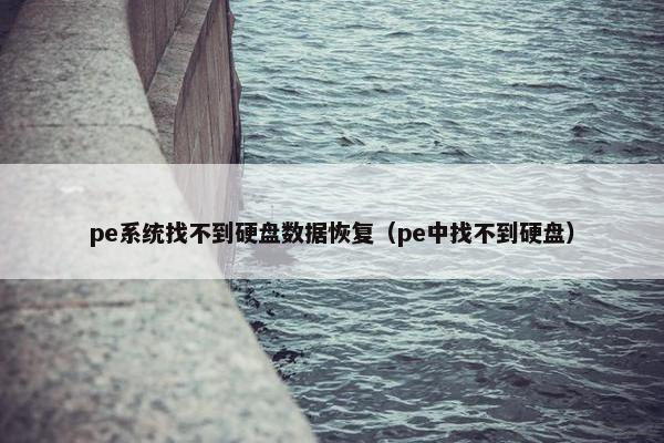 pe系统找不到硬盘数据恢复（pe中找不到硬盘）