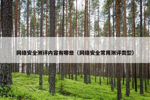 网络安全测评内容有哪些（网络安全常用测评类型）