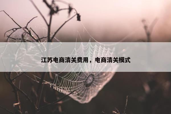 江苏电商清关费用，电商清关模式