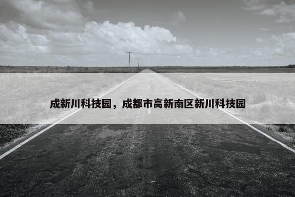 成新川科技园，成都市高新南区新川科技园