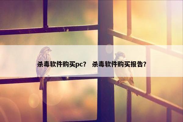 杀毒软件购买pc？ 杀毒软件购买报告？