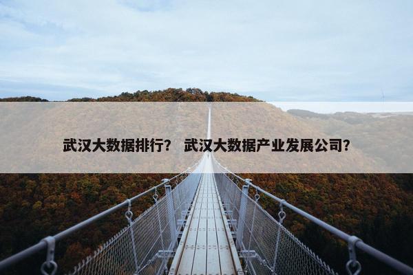 武汉大数据排行？ 武汉大数据产业发展公司？