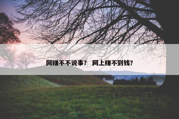 网赚不不说事？ 网上赚不到钱？