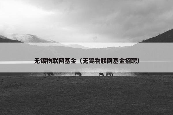 无锡物联网基金（无锡物联网基金招聘）