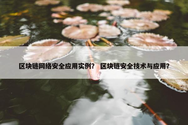 区块链网络安全应用实例？ 区块链安全技术与应用？