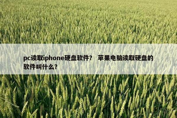 pc读取iphone硬盘软件？ 苹果电脑读取硬盘的软件叫什么？