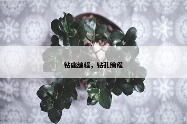 钻座编程，钻孔编程