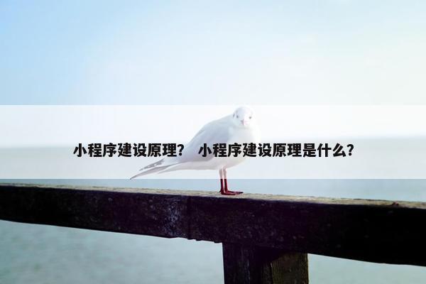 小程序建设原理？ 小程序建设原理是什么？