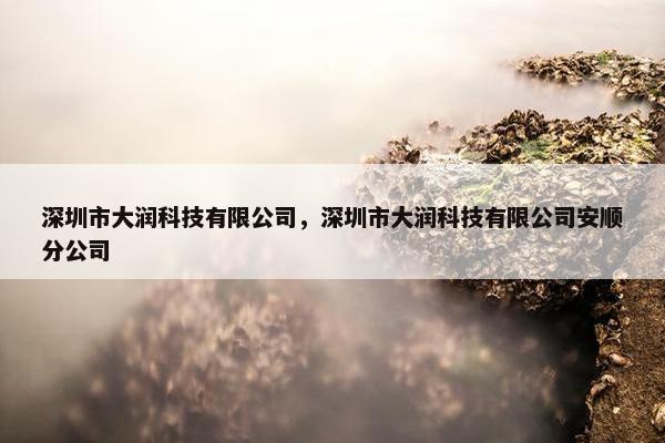 深圳市大润科技有限公司，深圳市大润科技有限公司安顺分公司