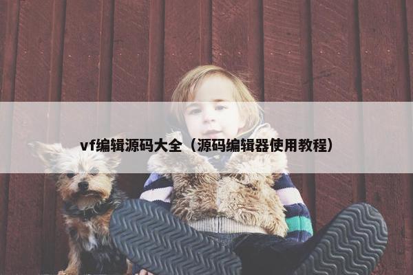 vf编辑源码大全（源码编辑器使用教程）