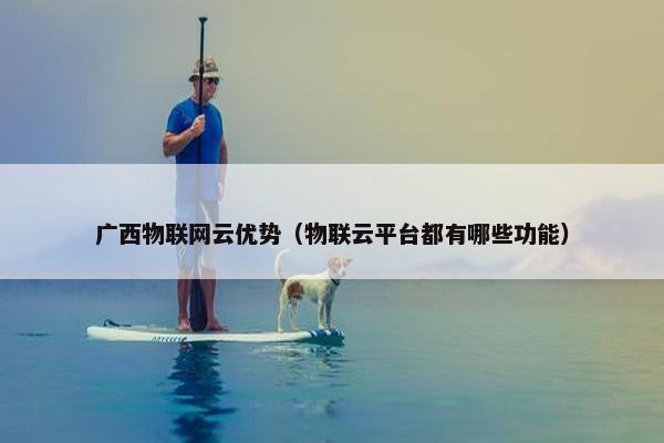广西物联网云优势（物联云平台都有哪些功能）