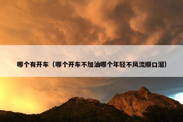 哪个有开车（哪个开车不加油哪个年轻不风流顺口溜）