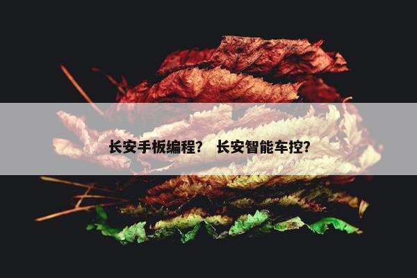 长安手板编程？ 长安智能车控？