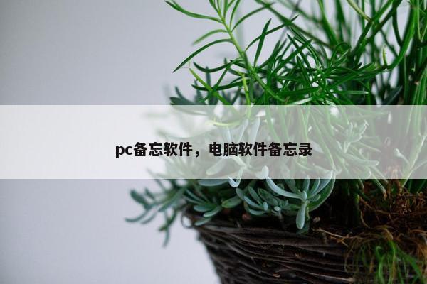pc备忘软件，电脑软件备忘录