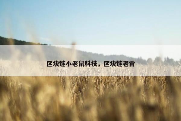 区块链小老鼠科技，区块链老雷