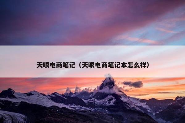 天眼电商笔记（天眼电商笔记本怎么样）