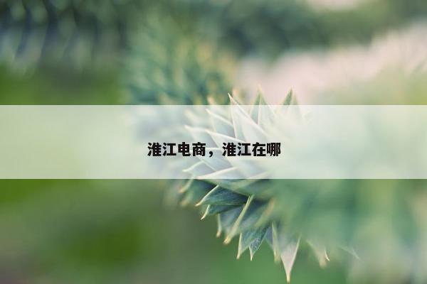 淮江电商，淮江在哪