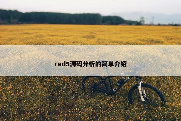 red5源码分析的简单介绍