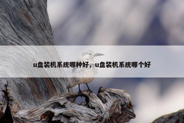 u盘装机系统哪种好，u盘装机系统哪个好