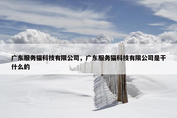 广东服务猫科技有限公司，广东服务猫科技有限公司是干什么的