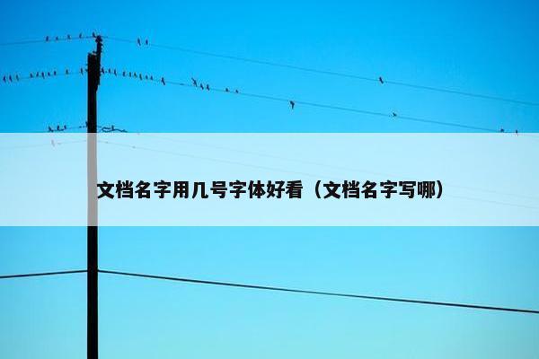 文档名字用几号字体好看（文档名字写哪）