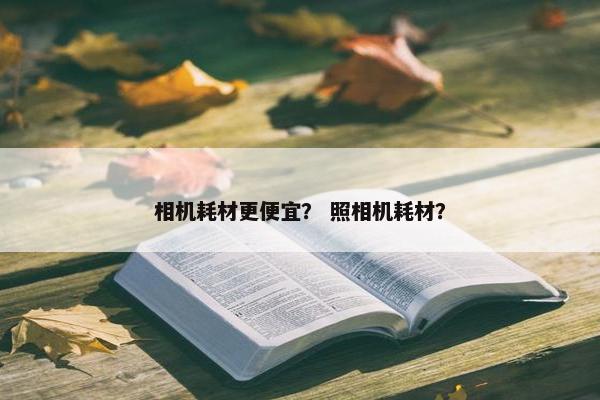相机耗材更便宜？ 照相机耗材？
