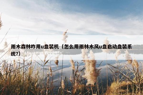 雨木森林咋用u盘装机（怎么用雨林木风u盘启动盘装系统?）