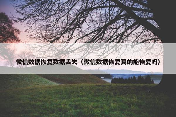 微信数据恢复数据丢失（微信数据恢复真的能恢复吗）