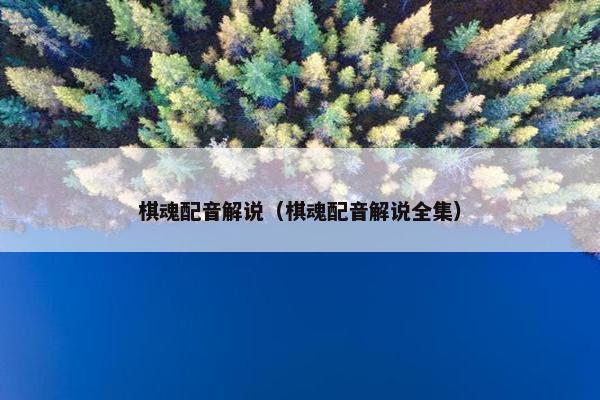 棋魂配音解说（棋魂配音解说全集）
