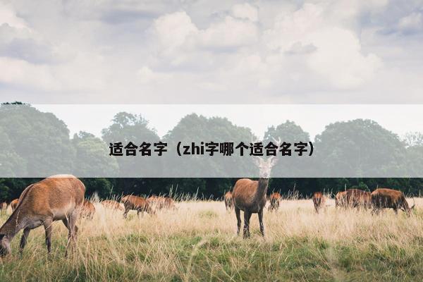 适合名字（zhi字哪个适合名字）