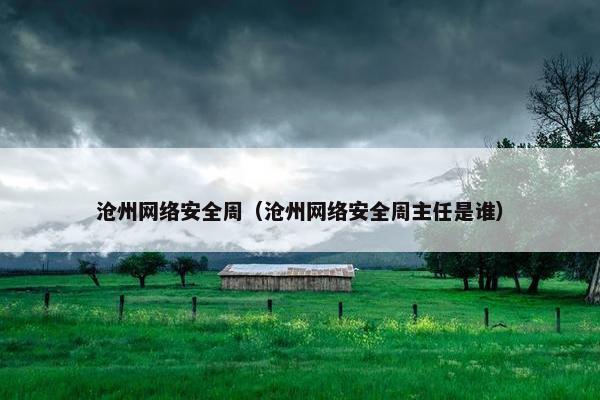 沧州网络安全周（沧州网络安全周主任是谁）