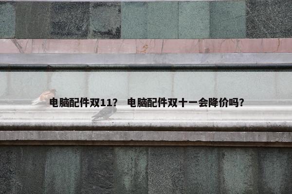 电脑配件双11？ 电脑配件双十一会降价吗？
