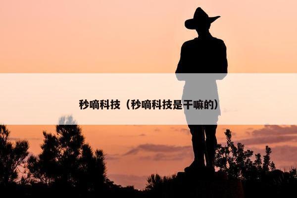 秒嘀科技（秒嘀科技是干嘛的）