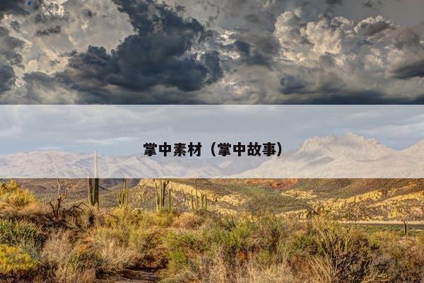 掌中素材（掌中故事）