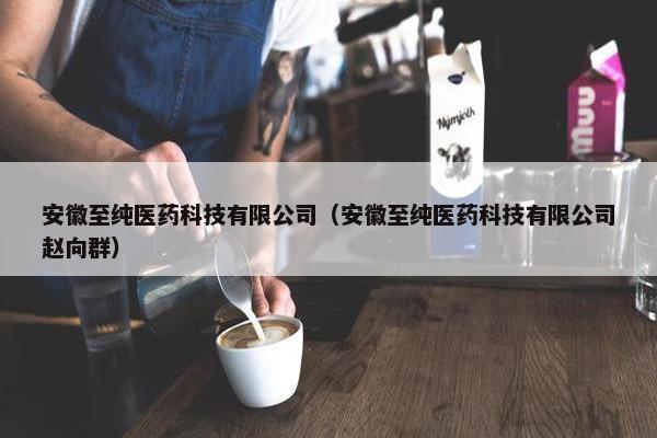 安徽至纯医药科技有限公司（安徽至纯医药科技有限公司赵向群）