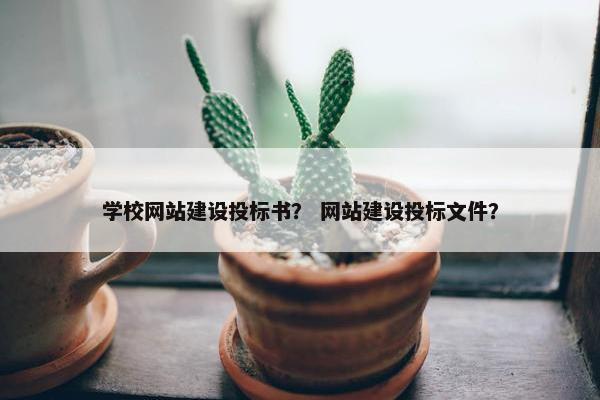 学校网站建设投标书？ 网站建设投标文件？