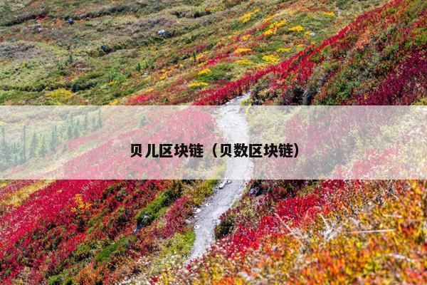 贝儿区块链（贝数区块链）