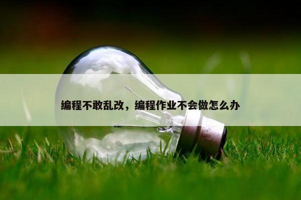 编程不敢乱改，编程作业不会做怎么办