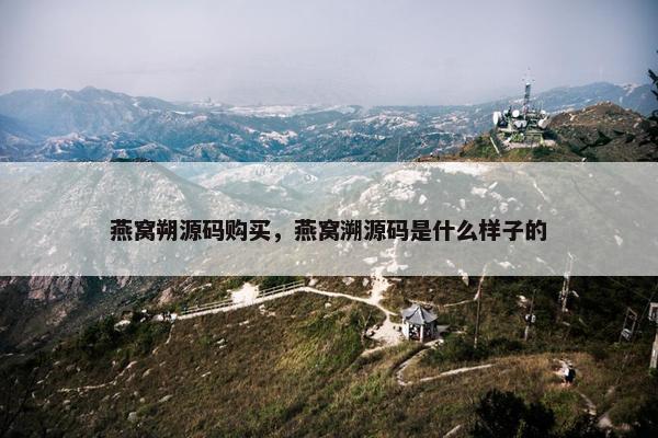 燕窝朔源码购买，燕窝溯源码是什么样子的