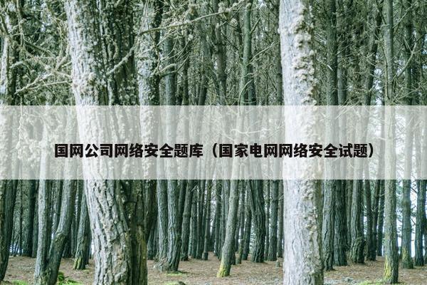 国网公司网络安全题库（国家电网网络安全试题）