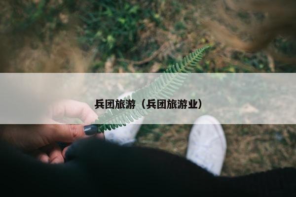 兵团旅游（兵团旅游业）