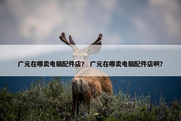广元在哪卖电脑配件店？ 广元在哪卖电脑配件店啊？