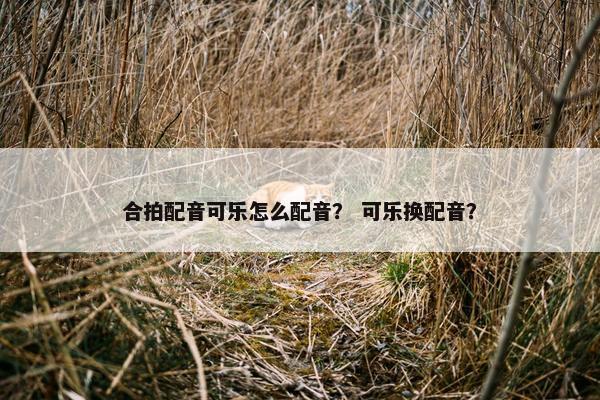合拍配音可乐怎么配音？ 可乐换配音？